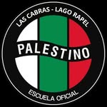 Academia Palestino Las Cabras