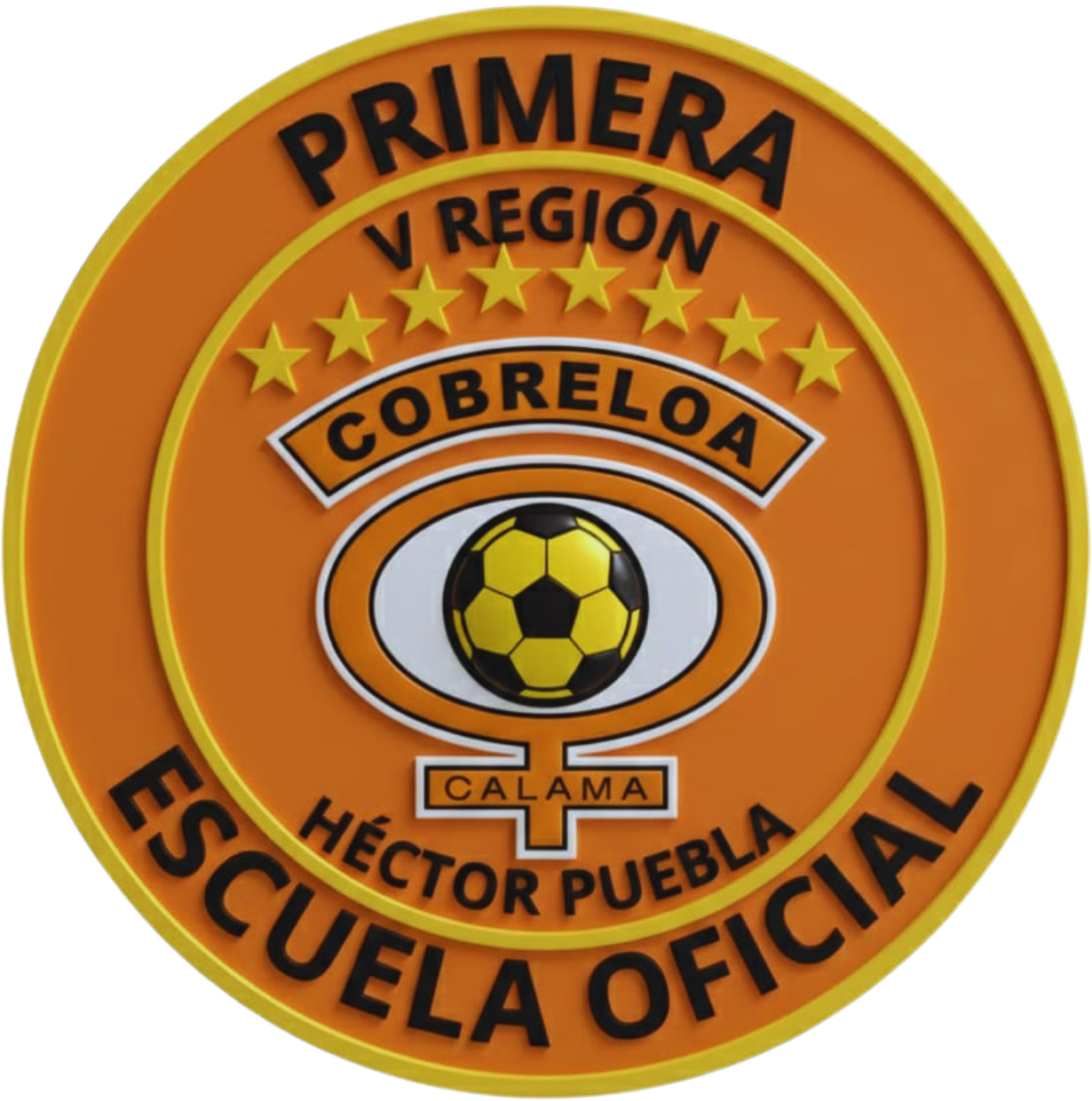 Escuela Cobreloa – V Región