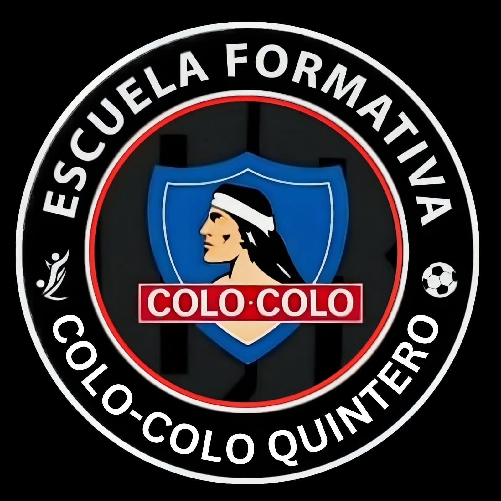 Escuela Oficial Colo-Colo Quintero